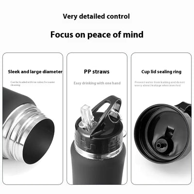 Stainless Steel Straw Bottle